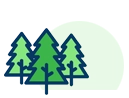 Отборный зимний хвойный лес из Пскова (диаметр 24-26 см)